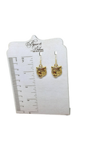 Load image into Gallery viewer, Tiger Earrings
