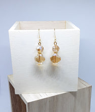 Load image into Gallery viewer, Topaz Crystal Earrings
